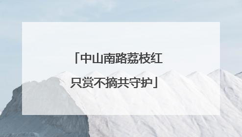中山南路荔枝红 只赏不摘共守护