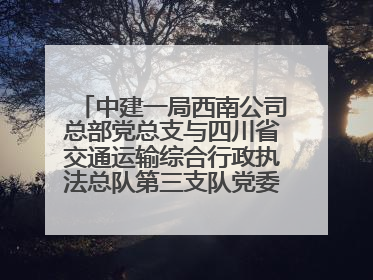 中建一局西南公司总部党总支与四川省交通运输综合行政执法总队第三支队党委、万源市草坝镇莲花院村党支部开展党建联建