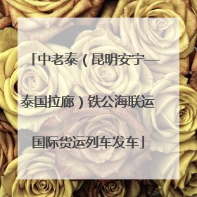 中老泰（昆明安宁—泰国拉廊）铁公海联运国际货运列车发车