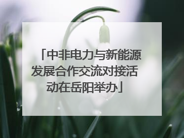 中非电力与新能源发展合作交流对接活动在岳阳举办
