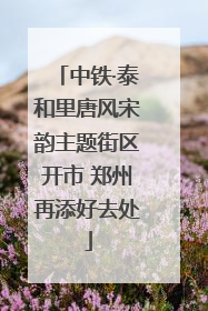 中铁·泰和里唐风宋韵主题街区开市 郑州再添好去处