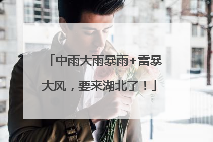 中雨大雨暴雨+雷暴大风，要来湖北了！