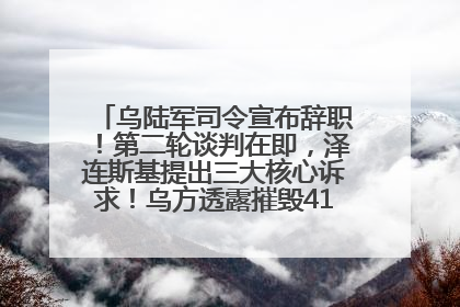 乌陆军司令宣布辞职！第二轮谈判在即，泽连斯基提出三大核心诉求！乌方透露摧毁41架俄战略轰炸机