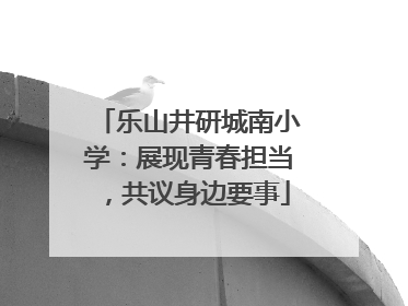 乐山井研城南小学：展现青春担当，共议身边要事
