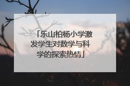 乐山柏杨小学激发学生对数学与科学的探索热情