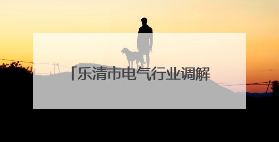 乐清市电气行业调解中心创新机制 涉企纠纷“一次性解决”