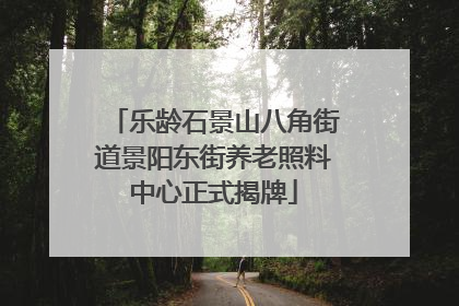 乐龄石景山八角街道景阳东街养老照料中心正式揭牌
