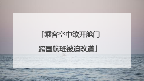 乘客空中欲开舱门 跨国航班被迫改道