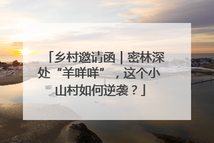 乡村邀请函｜密林深处“羊咩咩”，这个小山村如何逆袭？
