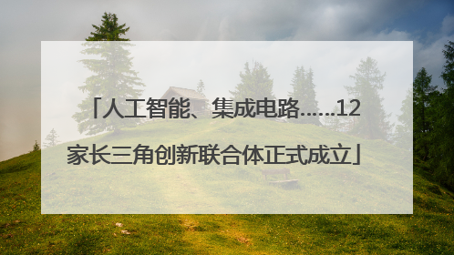 人工智能、集成电路……12家长三角创新联合体正式成立