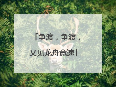 争渡，争渡，又见龙舟竞速
