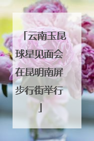 云南玉昆球星见面会在昆明南屏步行街举行