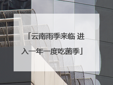 云南雨季来临 进入一年一度吃菌季