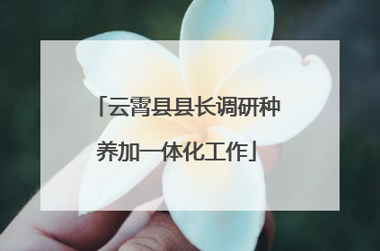 云霄县县长调研种养加一体化工作