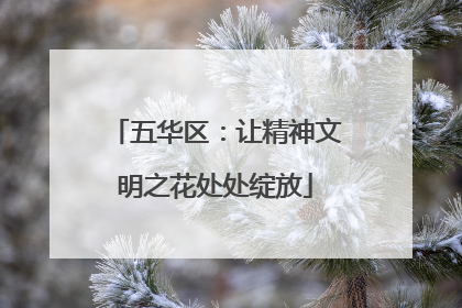 五华区：让精神文明之花处处绽放