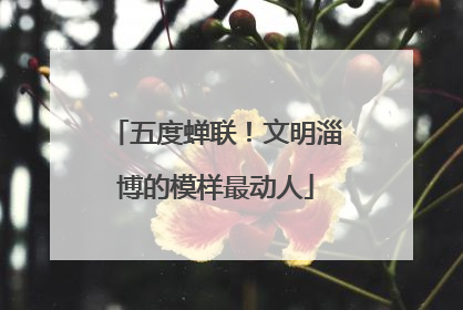 五度蝉联！文明淄博的模样最动人