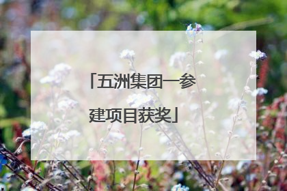 五洲集团一参建项目获奖