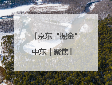 京东“掘金”中东｜聚焦