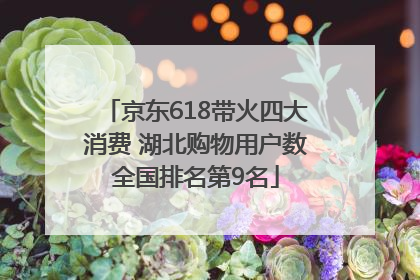 京东618带火四大消费 湖北购物用户数全国排名第9名