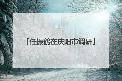 任振鹤在庆阳市调研