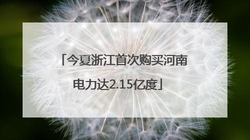 今夏浙江首次购买河南电力达2.15亿度