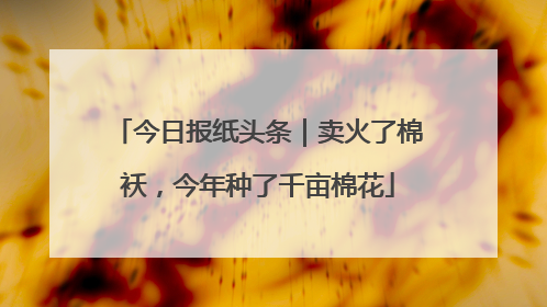 今日报纸头条｜卖火了棉袄，今年种了千亩棉花