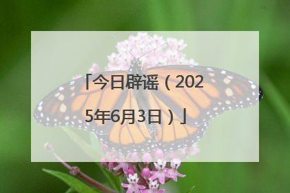 今日辟谣（2025年6月3日）