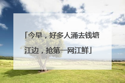 今早，好多人涌去钱塘江边，抢第一网江鲜