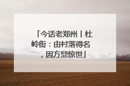 今话老郑州丨杜岭街：由村落得名，因方鼎惊世