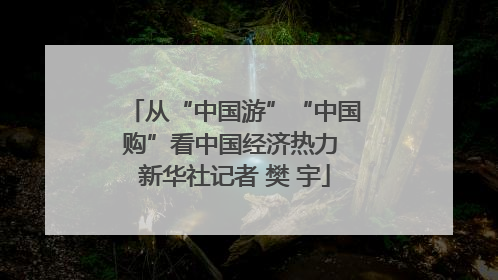 从“中国游”“中国购”看中国经济热力 新华社记者 樊 宇