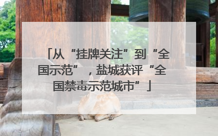 从“挂牌关注”到“全国示范”，盐城获评“全国禁毒示范城市”