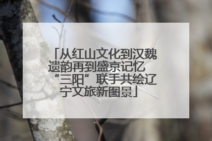从红山文化到汉魏遗韵再到盛京记忆 “三阳”联手共绘辽宁文旅新图景