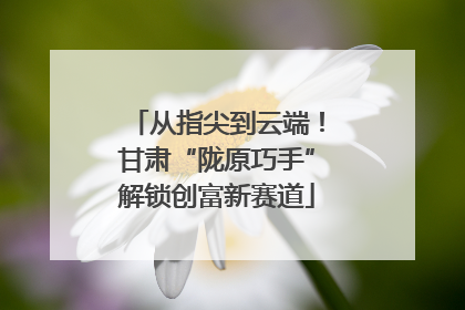 从指尖到云端！甘肃“陇原巧手”解锁创富新赛道