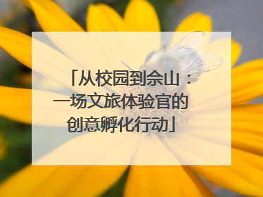 从校园到佘山：一场文旅体验官的创意孵化行动