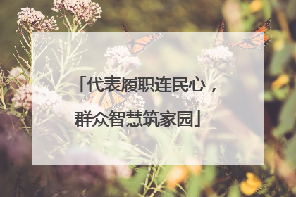 代表履职连民心，群众智慧筑家园