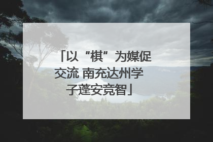 以“棋”为媒促交流 南充达州学子蓬安竞智
