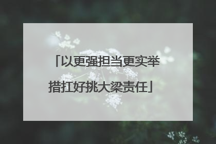 以更强担当更实举措扛好挑大梁责任