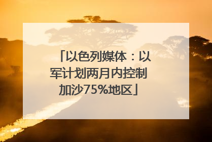 以色列媒体：以军计划两月内控制加沙75%地区
