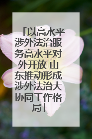 以高水平涉外法治服务高水平对外开放 山东推动形成涉外法治大协同工作格局