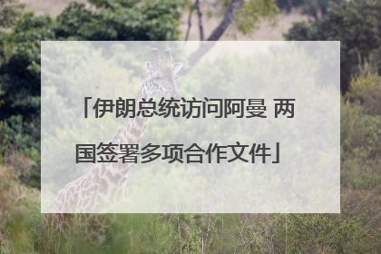 伊朗总统访问阿曼 两国签署多项合作文件