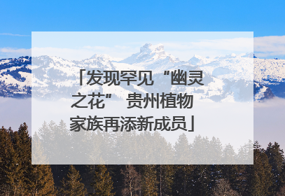 发现罕见“幽灵之花” 贵州植物家族再添新成员
