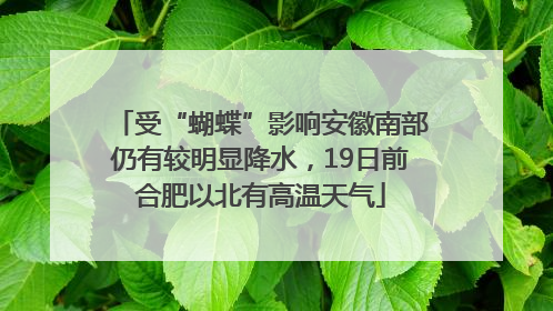 受“蝴蝶”影响安徽南部仍有较明显降水，19日前合肥以北有高温天气