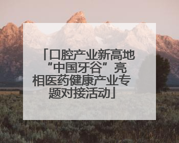 口腔产业新高地 “中国牙谷”亮相医药健康产业专题对接活动