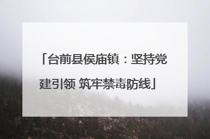 台前县侯庙镇：坚持党建引领 筑牢禁毒防线