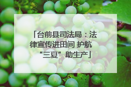 台前县司法局：法律宣传进田间 护航“三夏”助生产