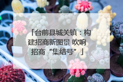 台前县城关镇：构建招商新图景 吹响招商“集结号”