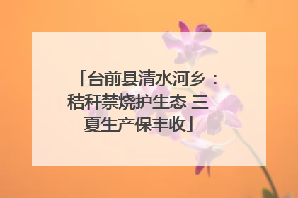 台前县清水河乡：秸秆禁烧护生态 三夏生产保丰收