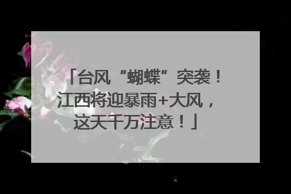 台风“蝴蝶”突袭！江西将迎暴雨+大风，这天千万注意！