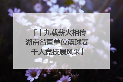 十九载薪火相传 湖南省直单位篮球赛千人竞技展风采