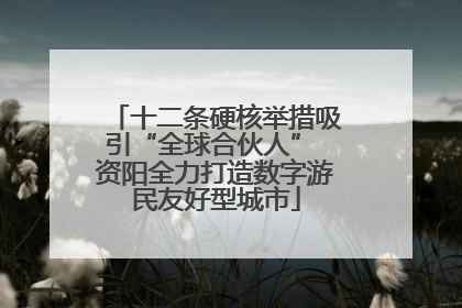十二条硬核举措吸引“全球合伙人” 资阳全力打造数字游民友好型城市